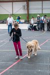 099-Nos animaux nous parlent--07052017 Etoiles de Louvres - -AGI 1402 : 07 Mai 2017, 2017, LES ETOILES DE LOUVRES, NOS ANIMAUX NOUS PARLENT