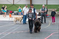 100-Nos animaux nous parlent--07052017 Etoiles de Louvres - -AGI 1403 : 07 Mai 2017, 2017, LES ETOILES DE LOUVRES, NOS ANIMAUX NOUS PARLENT