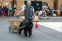 056-Nos animaux nous parlent--07052017 Etoiles de Louvres - -AGI 1345 : 07 Mai 2017, 2017, LES ETOILES DE LOUVRES, NOS ANIMAUX NOUS PARLENT