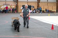 063-Nos animaux nous parlent--07052017 Etoiles de Louvres - -AGI 1355 : 07 Mai 2017, 2017, LES ETOILES DE LOUVRES, NOS ANIMAUX NOUS PARLENT