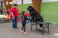 073-Nos animaux nous parlent--07052017 Etoiles de Louvres - -AGI 1366 : 07 Mai 2017, 2017, LES ETOILES DE LOUVRES, NOS ANIMAUX NOUS PARLENT