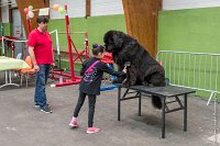 074-Nos animaux nous parlent--07052017 Etoiles de Louvres - -AGI 1367 : 07 Mai 2017, 2017, LES ETOILES DE LOUVRES, NOS ANIMAUX NOUS PARLENT