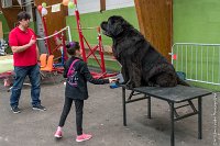 075-Nos animaux nous parlent--07052017 Etoiles de Louvres - -AGI 1368 : 07 Mai 2017, 2017, LES ETOILES DE LOUVRES, NOS ANIMAUX NOUS PARLENT