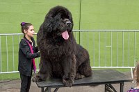 078-Nos animaux nous parlent--07052017 Etoiles de Louvres - -AGI 1371 : 07 Mai 2017, 2017, LES ETOILES DE LOUVRES, NOS ANIMAUX NOUS PARLENT