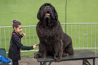 080-Nos animaux nous parlent--07052017 Etoiles de Louvres - -AGI 1373 : 07 Mai 2017, 2017, LES ETOILES DE LOUVRES, NOS ANIMAUX NOUS PARLENT