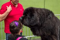 082-Nos animaux nous parlent--07052017 Etoiles de Louvres - -AGI 1375 : 07 Mai 2017, 2017, LES ETOILES DE LOUVRES, NOS ANIMAUX NOUS PARLENT