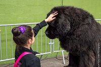 083-Nos animaux nous parlent--07052017 Etoiles de Louvres - -AGI 1376 : 07 Mai 2017, 2017, LES ETOILES DE LOUVRES, NOS ANIMAUX NOUS PARLENT