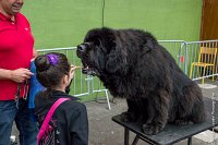 085-Nos animaux nous parlent--07052017 Etoiles de Louvres - -AGI 1378 : 07 Mai 2017, 2017, LES ETOILES DE LOUVRES, NOS ANIMAUX NOUS PARLENT