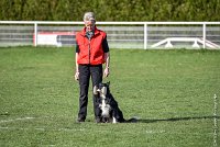 025-EDJAY-12032017-OBEISSANCE CHANTILLY -RAL 9255 : 2017, CC DE CHANTILLY, CLASSE 3, CONCOURS OBEISSANCE, Dimanche 12 Mars 2017, EDJAY DE LA BERGERIE DE MORGANE