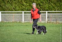 032-EDJAY-12032017-OBEISSANCE CHANTILLY -RAL 9270 : 2017, CC DE CHANTILLY, CLASSE 3, CONCOURS OBEISSANCE, Dimanche 12 Mars 2017, EDJAY DE LA BERGERIE DE MORGANE