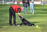 056-EDJAY-12032017-OBEISSANCE CHANTILLY -RAL 9311 : 2017, CC DE CHANTILLY, CLASSE 3, CONCOURS OBEISSANCE, Dimanche 12 Mars 2017, EDJAY DE LA BERGERIE DE MORGANE