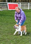 070- FALCON DU QUARRYLANE -11032017-sans titre-OBE 6894 : 2017, BREVET, CC DE CHANTILLY, CONCOURS OBEISSANCE, FALCON DU QUARRYLANE COTTAGE