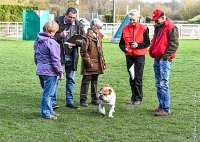 072- FALCON DU QUARRYLANE -11032017-sans titre-OBE 6900 : 2017, BREVET, CC DE CHANTILLY, CONCOURS OBEISSANCE, FALCON DU QUARRYLANE COTTAGE