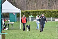 008-HENJOY-12032017-OBEISSANCE CHANTILLY -RAL 9663 : 2017, CC DE CHANTILLY, CLASSE 3, CONCOURS OBEISSANCE, Dimanche 12 Mars 2017, HENJOY DE LA BERGERIE DE MORGANE