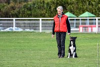 030-HENJOY-12032017-OBEISSANCE CHANTILLY -RAL 9697 : 2017, CC DE CHANTILLY, CLASSE 3, CONCOURS OBEISSANCE, Dimanche 12 Mars 2017, HENJOY DE LA BERGERIE DE MORGANE