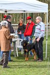 003- IENA -11032017-sans titre-OBE 6382 : 2017, BREVET, CC DE CHANTILLY, CONCOURS OBEISSANCE, IENA DES ALEXINES