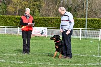 007- IENA -11032017-sans titre-OBE 6386 : 2017, BREVET, CC DE CHANTILLY, CONCOURS OBEISSANCE, IENA DES ALEXINES