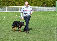 017- IENA -11032017-sans titre-OBE 6403 : 2017, BREVET, CC DE CHANTILLY, CONCOURS OBEISSANCE, IENA DES ALEXINES