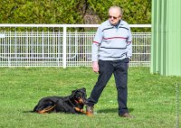 021- IENA -11032017-sans titre-OBE 6407 : 2017, BREVET, CC DE CHANTILLY, CONCOURS OBEISSANCE, IENA DES ALEXINES