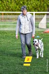 001- Impression  - 11032017-sans titre-OBE 6905 : 2017, CC DE CHANTILLY, CLASSE 1, CONCOURS OBEISSANCE, IMPRESSION COULEUR DES SOURCES DU REGARD TENDRE, Samedi 11 Mars 2017