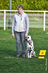 004- Impression  - 11032017-sans titre-OBE 6914 : 2017, CC DE CHANTILLY, CLASSE 1, CONCOURS OBEISSANCE, IMPRESSION COULEUR DES SOURCES DU REGARD TENDRE, Samedi 11 Mars 2017