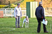 050- Impression  - 11032017-sans titre-OBE 7030 : 2017, CC DE CHANTILLY, CLASSE 1, CONCOURS OBEISSANCE, IMPRESSION COULEUR DES SOURCES DU REGARD TENDRE, Samedi 11 Mars 2017