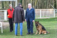 004- ISA -11032017-sans titre-OBE 6514 : 2017, BREVET, CC DE CHANTILLY, CONCOURS OBEISSANCE, ISA DE LA HUCHE NORMANDE