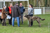 009- JINBEY - 11032017-sans titre-OBE 6653 : 2017, BREVET, CC DE CHANTILLY, CONCOURS OBEISSANCE, JINBEI