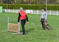 048- JINBEY - 11032017-sans titre-OBE 6706 : 2017, BREVET, CC DE CHANTILLY, CONCOURS OBEISSANCE, JINBEI