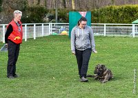 054- JINBEY - 11032017-sans titre-OBE 6714 : 2017, BREVET, CC DE CHANTILLY, CONCOURS OBEISSANCE, JINBEI