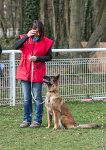 001- LEIKA -11032017-sans titre-OBE 6196 : 2017, CC DE CHANTILLY, CONCOURS OBEISSANCE, CSAU, LEIKA, Samedi 11 Mars 2017