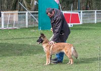 005- LEIKA -11032017-sans titre-OBE 6202 : 2017, CC DE CHANTILLY, CONCOURS OBEISSANCE, CSAU, LEIKA, Samedi 11 Mars 2017