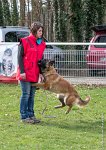 011- LEIKA -11032017-sans titre-OBE 6209 : 2017, CC DE CHANTILLY, CONCOURS OBEISSANCE, CSAU, LEIKA, Samedi 11 Mars 2017