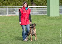 019- LEIKA -11032017-sans titre-OBE 6218 : 2017, CC DE CHANTILLY, CONCOURS OBEISSANCE, CSAU, LEIKA, Samedi 11 Mars 2017