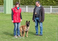 020- LEIKA -11032017-sans titre-OBE 6219 : 2017, CC DE CHANTILLY, CONCOURS OBEISSANCE, CSAU, LEIKA, Samedi 11 Mars 2017