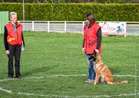 039- LEIKA -11032017-sans titre-OBE 6735 : 2017, BREVET, CC DE CHANTILLY, CONCOURS OBEISSANCE, LEIKA