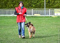 044- LEIKA -11032017-sans titre-OBE 6747 : 2017, BREVET, CC DE CHANTILLY, CONCOURS OBEISSANCE, LEIKA