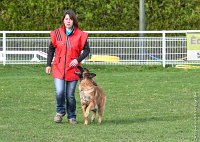 047- LEIKA -11032017-sans titre-OBE 6753 : 2017, BREVET, CC DE CHANTILLY, CONCOURS OBEISSANCE, LEIKA