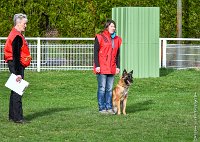 051- LEIKA -11032017-sans titre-OBE 6762 : 2017, BREVET, CC DE CHANTILLY, CONCOURS OBEISSANCE, LEIKA