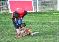 068- LEIKA -11032017-sans titre-OBE 6790 : 2017, BREVET, CC DE CHANTILLY, CONCOURS OBEISSANCE, LEIKA