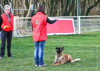 069- LEIKA -11032017-sans titre-OBE 6791 : 2017, BREVET, CC DE CHANTILLY, CONCOURS OBEISSANCE, LEIKA