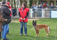 078- LEIKA -11032017-sans titre-OBE 6803 : 2017, BREVET, CC DE CHANTILLY, CONCOURS OBEISSANCE, LEIKA