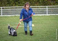 033- Louna - 11032017-sans titre-OBE 6143 : 2017, CC DE CHANTILLY, CONCOURS OBEISSANCE, CSAU, LOUNA, Samedi 11 Mars 2017