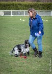 048- Louna - 11032017-sans titre-OBE 6159 : 2017, CC DE CHANTILLY, CONCOURS OBEISSANCE, CSAU, LOUNA, Samedi 11 Mars 2017