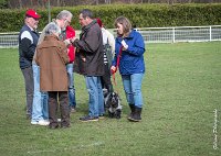 049- Louna - 11032017-sans titre-OBE 6161 : 2017, CC DE CHANTILLY, CONCOURS OBEISSANCE, CSAU, LOUNA, Samedi 11 Mars 2017