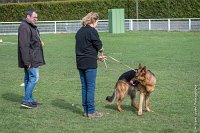 024-LOUSTYK-11032017-sans titre-OBE 6094 : 2017, CC DE CHANTILLY, CONCOURS OBEISSANCE, CSAU, LOUSTYK, Samedi 11 Mars 2017