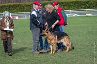 039-LOUSTYK-11032017-sans titre-OBE 6114 : 2017, CC DE CHANTILLY, CONCOURS OBEISSANCE, CSAU, LOUSTYK, Samedi 11 Mars 2017