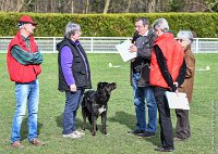 061- LUCKY -11032017-sans titre-OBE 6375 : 2017, BREVET, CC DE CHANTILLY, CONCOURS OBEISSANCE, LUCKY