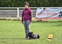 008- SCOFFIELD - 12032017-OBEISSANCE CHANTILLY C1 -RAL 8503 : 2017, CC DE CHANTILLY, CLASSE 2, CONCOURS OBEISSANCE, Dimanche 12 Mars 2017, SCOFFIELD