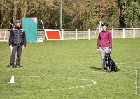 028- SCOFFIELD - 12032017-OBEISSANCE CHANTILLY C1 -RAL 8644 : 2017, CC DE CHANTILLY, CLASSE 2, CONCOURS OBEISSANCE, Dimanche 12 Mars 2017, SCOFFIELD